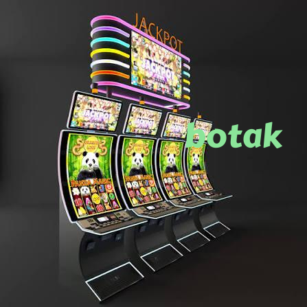 botak slide 1